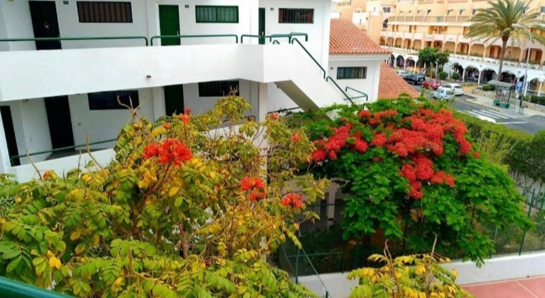 Apartmán Luxury Sonnenland Maspalomas  Exteriér fotografie